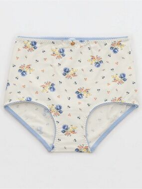 NWT Aerie Retro High Rise Panty